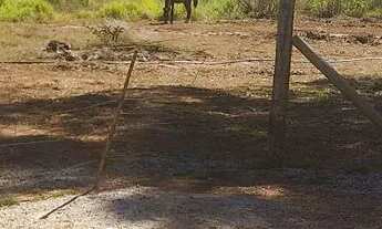 Imagem: Mini chácara INCRA 9 Ceilândia leiam