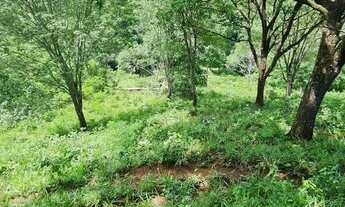 Imagem 3: Fazenda/Sítio/Chácara para venda tem 250 metros quadrados com 3 quartos