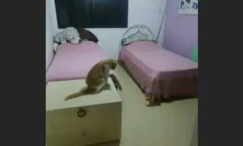 Imagem 6: Apartamento para aluguel ou venda com 139m² com 3 suítes e 3 garagens na orla de Boa Viage