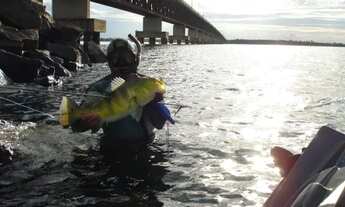 Imagem 2: Terrenos Terreno / lote com venda por R$35.000