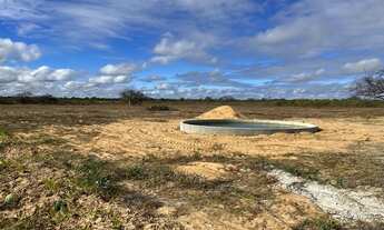 Imagem 4: Lote Agrícola com água para irrigação e escriturado