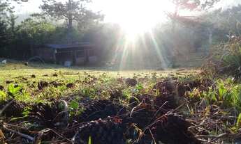 Imagem 5: EXCELENTE CHÁCARA EM CAMPO MAGRO