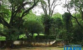 Imagem 4: AREA - TERRA PRETA - SP