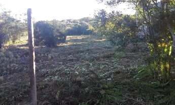 Imagem 3: Vendo Chácara com venda por R$45.000