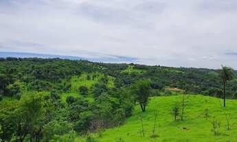 Imagem 2: Terrenos Financiados em Condomínio Segurança Lazer e Área Verde