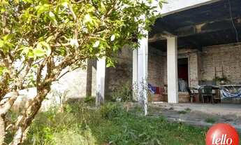 Imagem: São Paulo - Casa Comercial - Vila Formosa