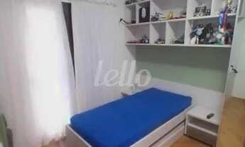 Imagem 7: São Paulo - Casa Padrão - Ipiranga