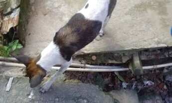 Imagem 4: Vende-se 2 casa Casa com 2 dormitórios