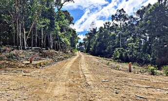 Imagem 3: Terrenos para sítios e chácaras