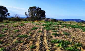 Imagem 7: Lote/Terreno para venda tem 500 metros quadrados em Centro - Atibaia - SP