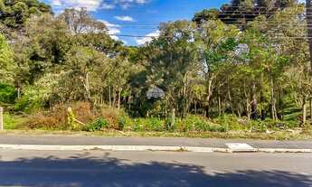 Imagem 7: Terreno Residencial para Venda no Roça Grande em Colombo, 10403m²