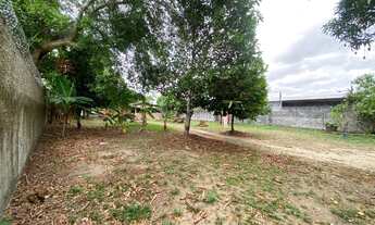 Imagem 6: Vendo Terreno comercial 2.274 m² Santa Etelvina