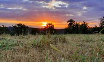 Imagem 6: Terrenos Financiados em Condomínio Segurança Lazer e Área Verde