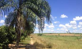 Imagem 5: Vende-se chácara 2,5 alqueires, 300 mts da cidade Dracena/Sp