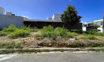 Imagem: Lote de esquina na serraria