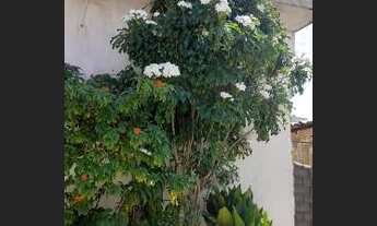 Imagem: Alugo Casa Duplex