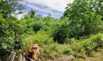 Imagem 2: Terreno Ótima Localizaçaõ