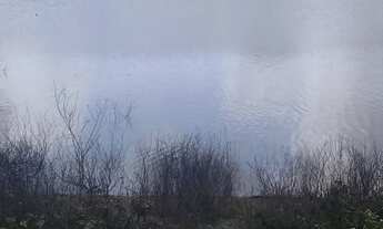 Imagem: Vendo fazenda em brejoes com 1.600 tarefas