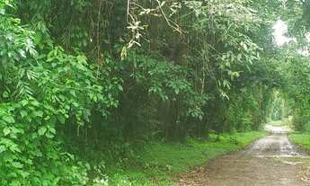 Imagem 3: Lote/Terreno para venda tem 546 metros quadrados em Itamambuca - Ubatuba - São Paulo