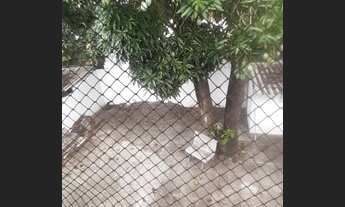 Imagem: Casa para alugar