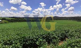 Imagem 4: Terreno para Venda em Campo Largo, Miqueleto