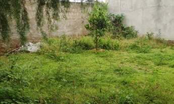 Imagem 7: ?Aluga-se Casa no Parque das Flores em Mirassol/SP