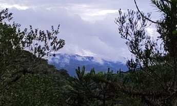 Imagem 5: Área de cinema em Urubicí ( 10 hectares