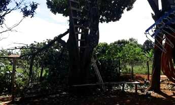 Imagem 3: Lote com casa de 4 quartos - Jardim Ingá