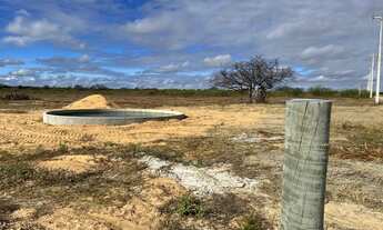 Imagem 3: Lote Agrícola com água para irrigação e escriturado