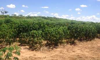 Imagem 2: Vende-se chácara 2,5 alqueires, 300 mts da cidade Dracena/Sp