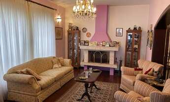 Imagem: Rua Tranquila e arborizada