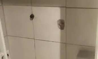 Imagem 3: Casa Pra Alugar No Toto