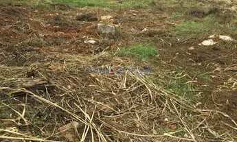 Imagem 3: Terreno - Jardim Santa Genebra II (Barão Geraldo) - Campinas