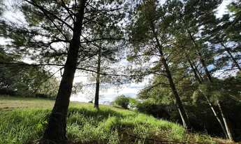 Imagem 2: Chácara para venda tem 4690 metros quadrados com VISATA panorâmica da região, aceito CARRO