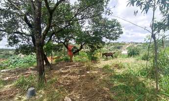 Imagem 3: OPORTUNIDADE LOTE 360 M² AERONAUTAS!