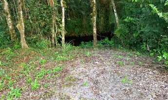 Imagem 4: Chácara em Itanhaém Pq real