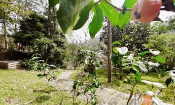 Imagem 6: Petrópolis - Casa Padrão - Duarte da Silveira