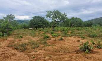 Imagem 3: Oportunidade <br>Excelente fazenda de dupla aptidão na Regiao de Cabeceiras-GO