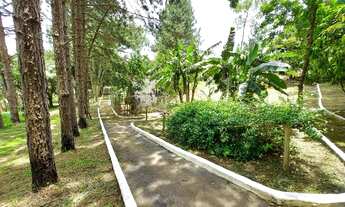 Imagem 6: Incrível Chácara / Sítio 30 mil m2