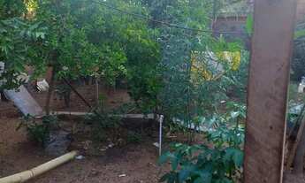 Imagem 3: Vende-se casa , Setor Irmã Dulce