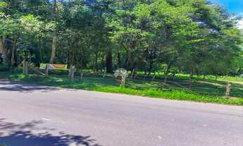 Imagem 3: Vendas Terreno São José Dos Pinhais PR