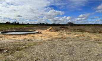 Imagem 5: Lote Agrícola com água para irrigação e escriturado