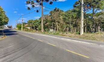 Imagem 5: Terreno Residencial para Venda no Roça Grande em Colombo, 10403m²