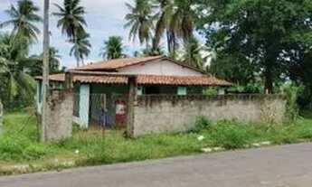 Imagem 5: Sítio coqueiro, ceará mirim