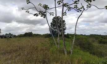 Imagem 6: Excelente Terreno no Polo Industrial Camaçari - Próximo da montadora chinesa BYD ( FORD