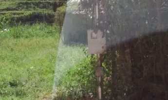 Imagem 2: Granja em chão frio/pertence a chácara