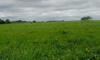 Imagem: Fazenda em São Miguel do Guamá - PA
