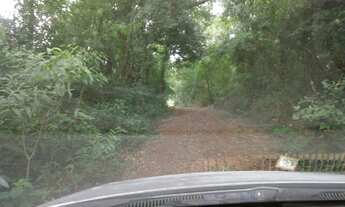 Imagem: Sítio 3.1 alqueires Santo Antônio da platina