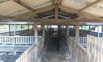 Imagem 4: Fazenda à venda dentro de Santarém com 100 hectares, km 03 Alter do Chão