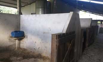 Imagem 6: Fazenda à venda dentro de Santarém com 100 hectares, km 03 Alter do Chão